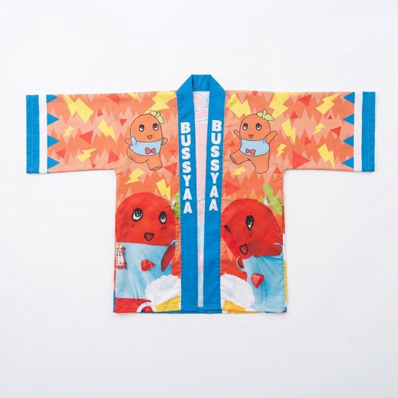 ブッシャア法被