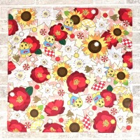 ふなっしー FL インディアンふなっしーメガネクロス（全6種）ブラインド商品