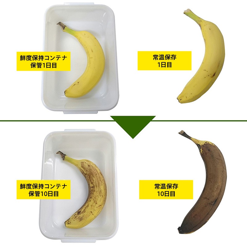 դʤäLAND ݻƥ1150mlʤڡ