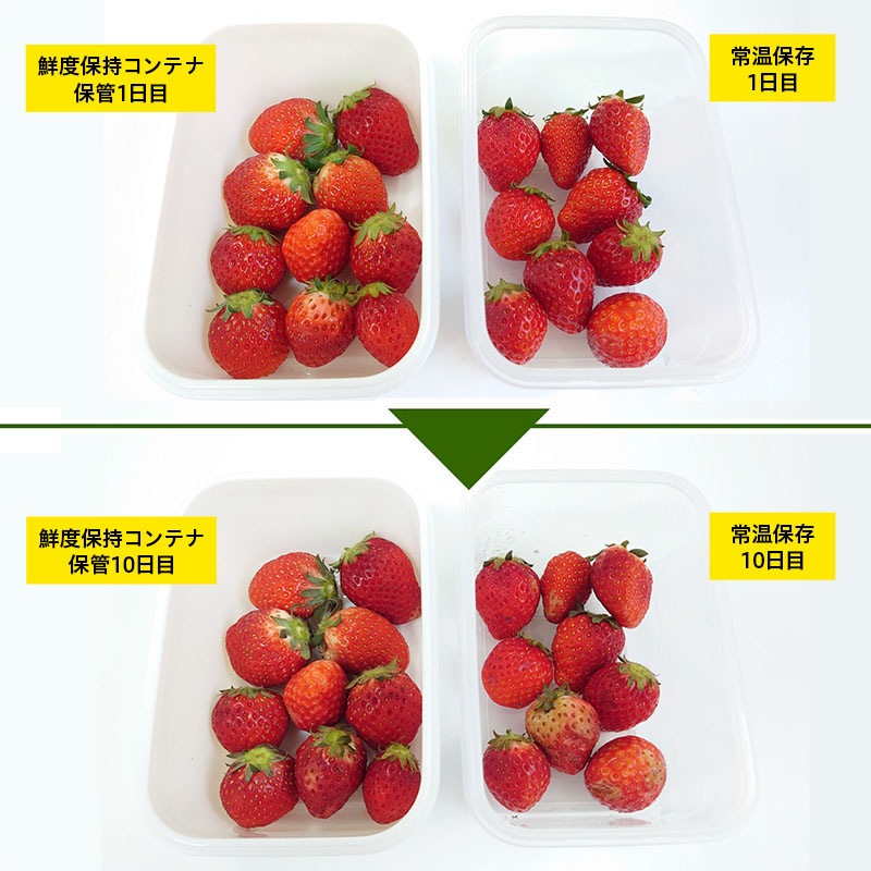 դʤäLAND ݻƥ1150mlʤڡ