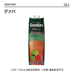 摘果マンゴー① 摘果マンゴー① 食品