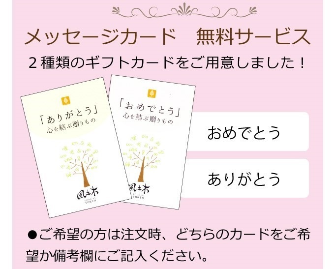 【送料無料】★選べる本格カレー20袋セット （生姜／スパイシー）