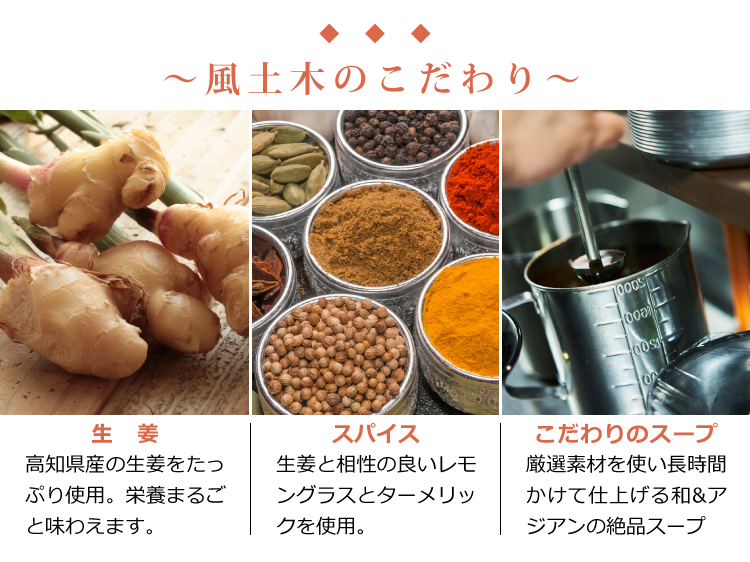 【ギフト】創作フォー&本格カレー全6種 MIXお楽しみセット