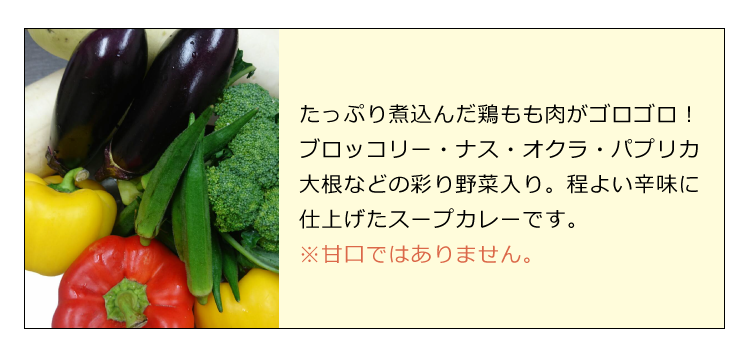 【味選べる】具沢山！野菜たっぷり本格カレー3袋セット　