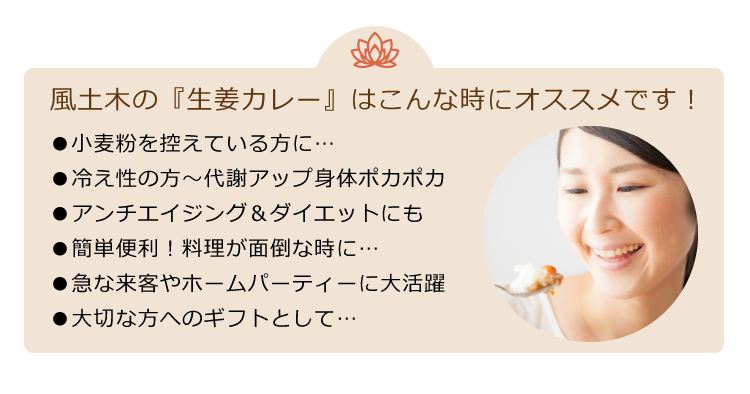 【お得！】味選べる本格カレー8袋セット(＋1袋プレゼント付）