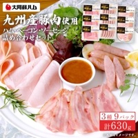 九州産豚肉使用　阿蘇山ギフトセット（ＦＫＫ−４５ＧＮＫ）