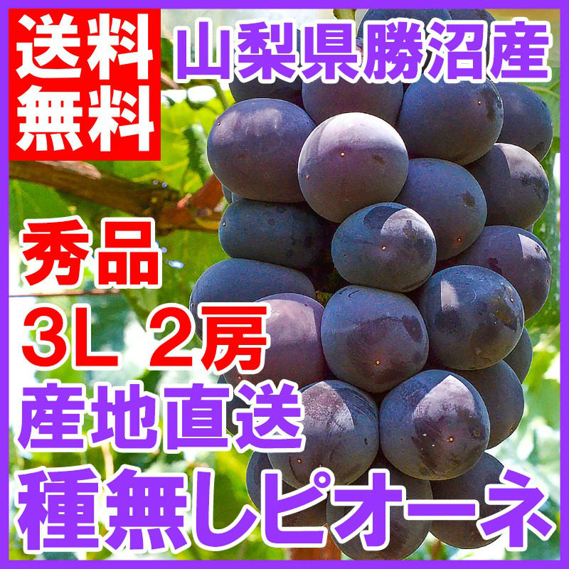 山梨県 勝沼産 シャインマスカット ピオーネ F41Kt-m24558733747 
