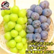 【送料無料】ピオーネ650g前後＆シャインマスカット600-700g前後セット 山梨 長野県産 1.3kg前後 合計2房 1箱 【ピオーネ シャインマスカット 巨峰 ぶどう ブドウ 葡萄 フルーツ】|