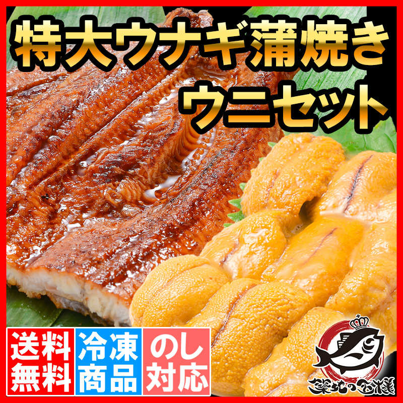 タレ付きの通販。築地市場のまぐろ問屋｜まぐろなら築地の王様　うにうなぎセット　超特大国産うなぎ蒲焼き　生ウニ　＜松＞　平均250g前後×2尾　100g