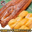 うにうなぎセット ＜梅＞ 超特大！うなぎ蒲焼き 平均330g前後×2尾 生ウニ 100g タレ付き 柔らかうなぎと生ウニの贅沢セット|国産うなぎ蒲焼き|うなぎ・穴子