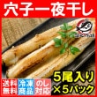送料無料 穴子 あなご アナゴ 穴子一夜干し 5尾入り×5パック|穴子　あなご　アナゴ|うなぎ・穴子
