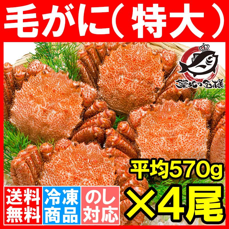 送料無料 毛がに 毛蟹 浜茹でメガ毛ガニ姿 570g ×4尾-うに カニ まぐろなら築地の王様 本店