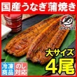 送料無料 国産うなぎ蒲焼き 大サイズ 平均165g前後×4尾|国産うなぎ蒲焼き|うなぎ・穴子