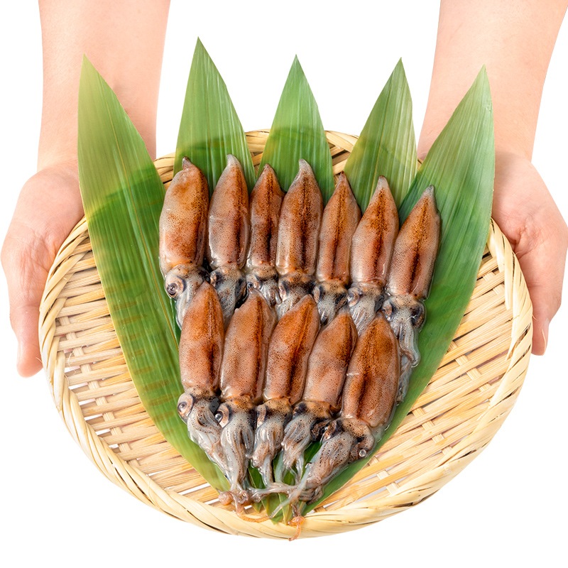 ホタルイカ 高級グレード 生ホタルイカ ほたるいか 合計24尾 12尾(約120g)×2