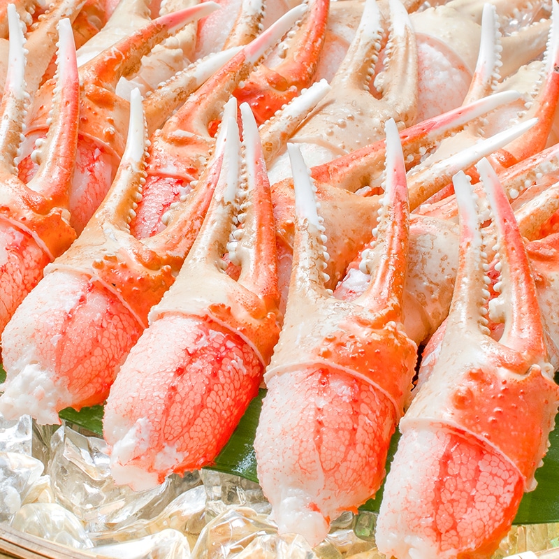 カニ爪 かに爪 1kg(特大 4L ズワイガニ 21~30個・正規品)の通販 カニ爪 かに爪 1kg(特大 4L ズワイガニ 21~30個・正規品)の通販