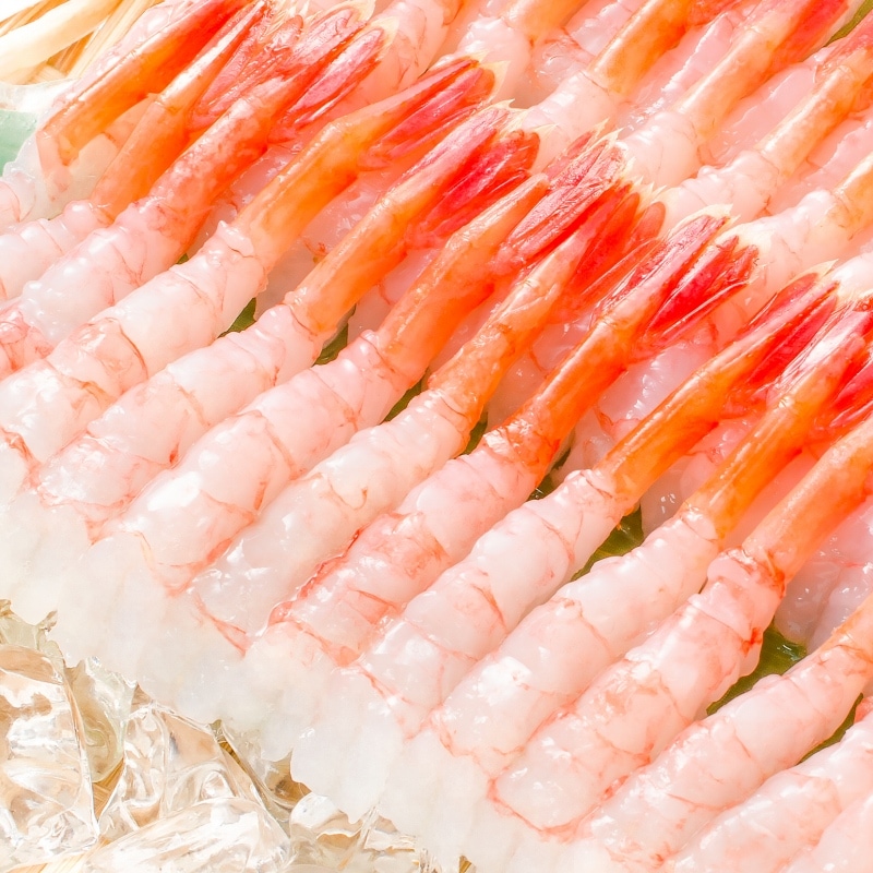 甘えび (中サイズ) 約550g (約40尾前後) 天然・鮮度抜群