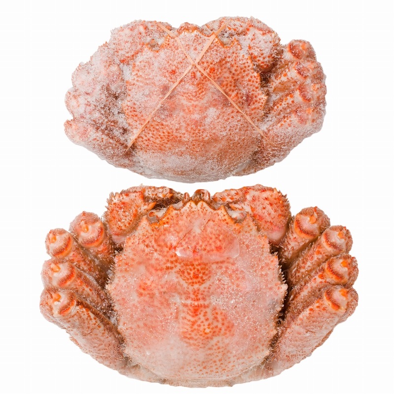 浜ゆで毛蟹6尾入れ　冷凍 浜ゆで毛がに 650g×2尾（北海道 宗谷産・ボイル冷凍）｜【北海道
