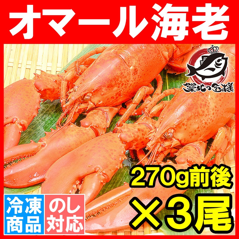 オマール海老 ロブスター 3尾の通販 築地市場のまぐろ問屋 まぐろなら築地の王様 オマール海老 ロブスター 3尾の通販 築地市場のまぐろ問屋 まぐろなら築地の王様