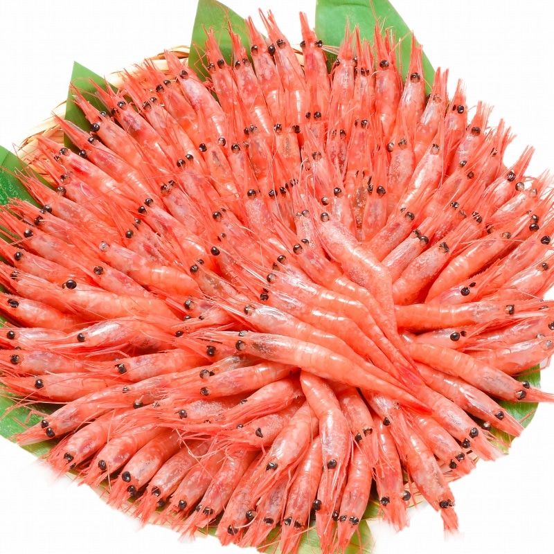 送料無料 甘エビ 甘海老 1kg（90～120尾前後Sサイズ）の通販。築地