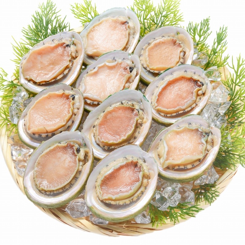 刺身用養殖アワビ(約1kg)★個別真空★(10～15玉) あわび（Lサイズ 1kg 1箱12個入り 殻つきお刺身用アワビ