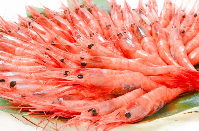 あまえび 2_019001000002.jpg?1678209905