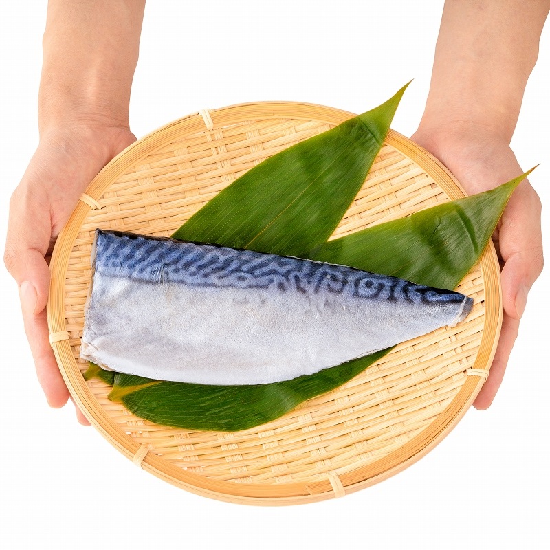 しめ鯖っさー ノルウェー産 北海しめさば 半身×1パック 寒流に育まれ脂がのっ