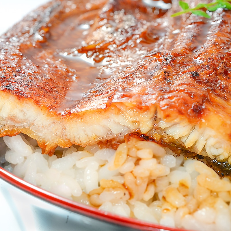 超特大うなぎ4尾6999円　1尾あたり330ｇ超特大鰻　ウナギ 超特大うなぎ4尾6999円 1尾あたり330g超特大鰻 ウナギ の通販