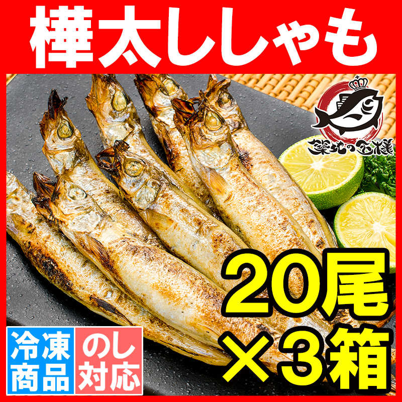 子持ちからふとししゃも1箱20尾 3箱 大サイズ の通販 築地市場 豊洲市場の美味しい海鮮をお届けいたします