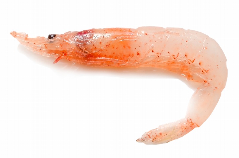 生桜エビ お刺身用 生桜えび 1kg 台湾産 冷凍桜海老 桜えび 桜海老 桜エビ の通販 築地市場のまぐろ問屋 まぐろなら築地の王様