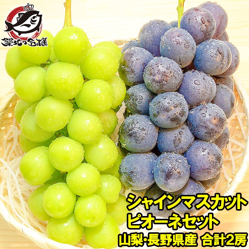 ピオーネ&amp;種なし巨峰&amp;シャインマスカット 約5kg シャインマスカット 巨峰 ピオーネ のレーズン 30g×10袋 食べ