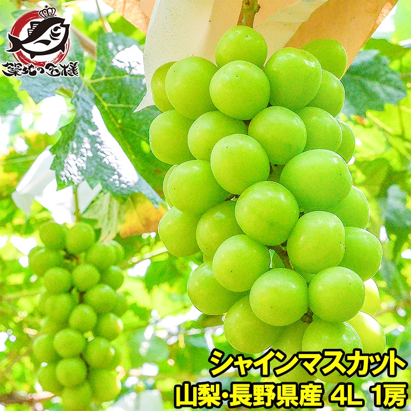 るん  山梨県産シャインマスカット4kg 数量限定】高品質なROOTS FARMシャインマスカット 1.9kg以上 3