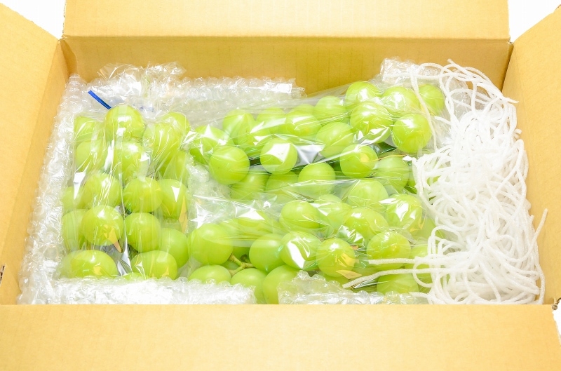 送料無料】シャインマスカット 山梨県 長野県産 種なしシャイン