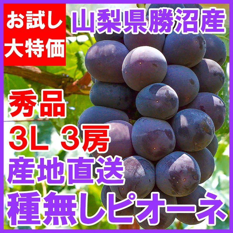 山梨勝沼産種無しピオーネとシャインマスカット1キロ2箱 ピオーネ650g前後＆シャインマスカット600-700gセット 山梨 長野
