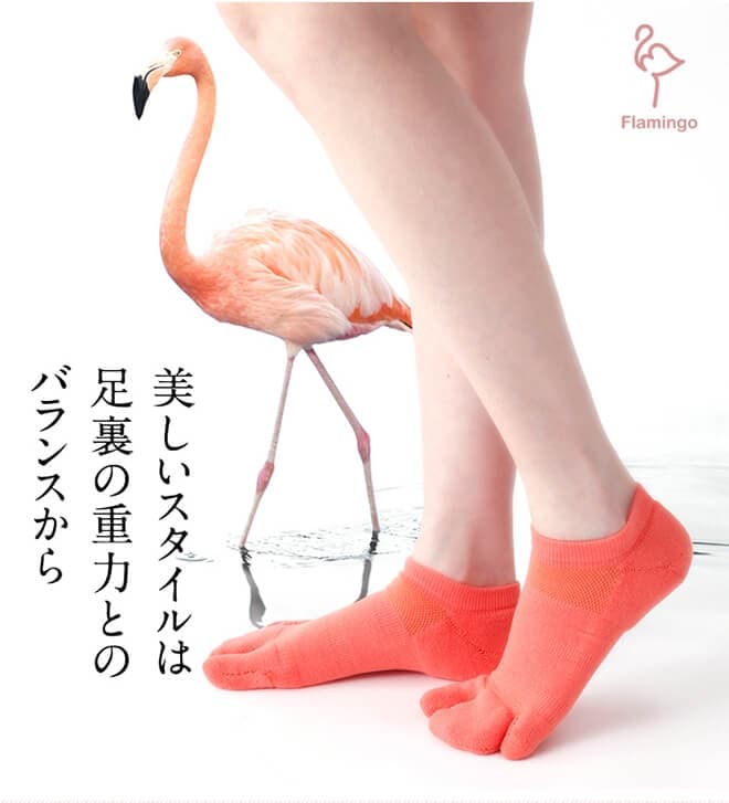 Flamingo3Gﾊﾞﾗﾝｽｳｫｰｷﾝ【ソフト/スニーカー丈4mm】/IK00330sof