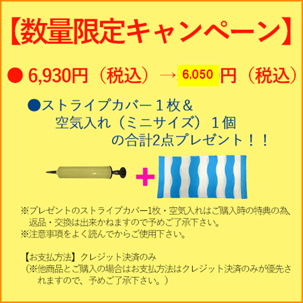 【数量限定プレゼント付き】エア式　安眠ウェーブ枕（カバー付）【日本製】/AKI-001-g