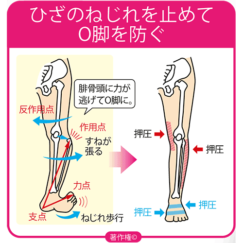 【限定】美整体シリーズ　ひざまっすぐ【スリムサポーター】両足入り/AKM-002【期間限定プレゼント企画】