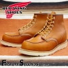 RED WING 875 US8.0/26.0cm 3600 ȥåʡ åɡ ʪ եȥ꡼ å