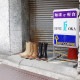 Locking Shoes by FootMonkey ���å��󥰥��塼�� �եåȥ�󥭡� ROPER BOOTS TS-025 �֥�å� �����ѡ��֡��� �ڥ����֡��� ��� �ܳ� �֡��� ��󥺥֡��� ����������֡��� ����֡��� �����ȥɥ�