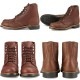 ��åɥ����� �֡��� ��ǥ����� �ܳ� RED WING 3365 ��Amber "Harness"�� IRON RANGER ���������󥸥㡼 �졼�����åץ֡��� ����åץȥ� 