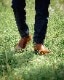 ��åɥ����� ���饷�å� �����륷�� ������ RED WING 3190 ��Amber "Harness"�� CLASSIC CHELSEA ����С� �ϡ��ͥ� �����ɥ����֡��� �֡��� ��� �ܳ� �����륷���֡��� ����֡��� �����ȥɥ� ������ ������桼�� ����ꥫ��