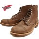��åɥ����� ���������� ������ RED WING IRON RANGE 8081 ��Amber "Harness"�� �֡��� ��� ��ǥ����� �졼�����åץ֡��� ����åץȥ�