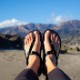 ��ʥ������ LUNA SANDALS OSO WINGED EDITION ���� ���ݡ��ĥ������ ��� �ȥ󥰥������ ���˥󥰥������ ������� �٥ȥʥ���