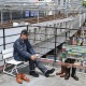 Locking Shoes by FootMonkey ���å��󥰥��塼�� �եåȥ�󥭡� TS-015 �֥�å��������� ENGINEER BOOTS ���󥸥˥��֡��� ����֡��� �ܳ� ��� ���󥸥˥� �֡��� �쥶�� ��󥺥֡��� ���ᥫ��
