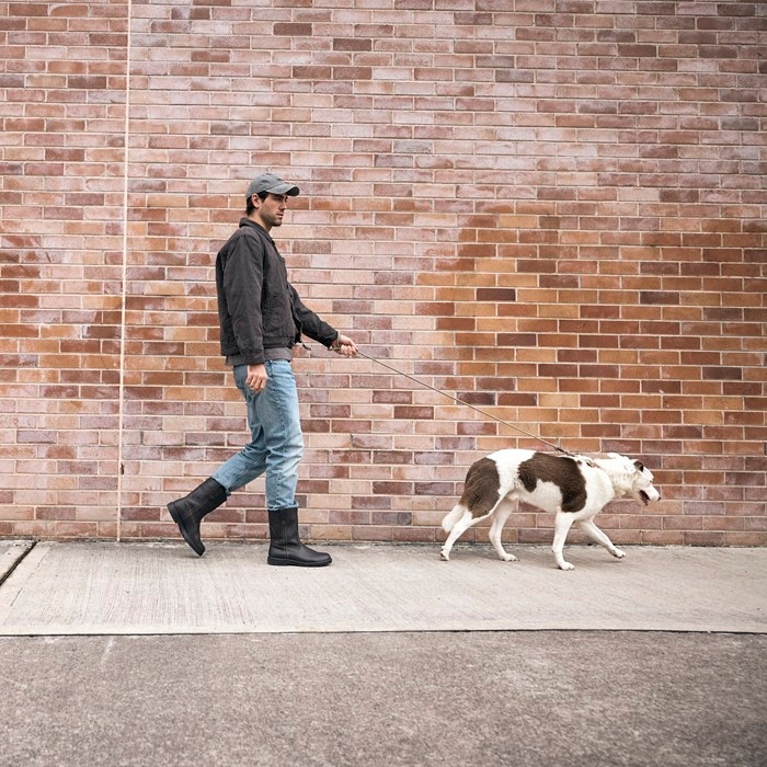 �֥��ɥ��ȡ��� ���ꥸ�ʥ� Blundstone BS2528 ORIGINALS RIGGER BOOT ��� �ڥ����֡��� ����������֡��� ����������֡��� ��ǥ����� �֡��� �쥶�� �ܳ� ����֡��� �쥤��֡��� �����ȥɥ� ������ ���ᥫ��