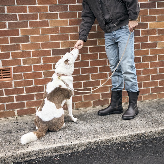 �֥��ɥ��ȡ��� ���ꥸ�ʥ� Blundstone BS2528 ORIGINALS RIGGER BOOT ��� �ڥ����֡��� ����������֡��� ����������֡��� ��ǥ����� �֡��� �쥶�� �ܳ� ����֡��� �쥤��֡��� �����ȥɥ� ������ ���ᥫ��