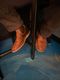 ��åɥ����� ��������������� RED WING 3128 WEEKENDER CHELSEA Copper Rough & Tough ���åѡ� ��ե���ɥ��� �����ɥ����֡��� �����륷���֡��� �֡��� ��� �ܳ� ����֡��� ��󥺥֡��� �����ȥɥ� ���ᥫ�� ����ꥫ�� ������