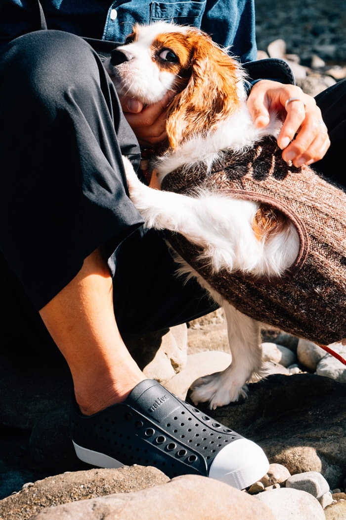 �ͥ��ƥ��֥��塼�� �����ե������� native shoes JEFFERSON ��С����塼�� ���ˡ����� ��� ������� ��ǥ����� ����������� �����å�������� �ӡ���������� �����ȥɥ� �� ι�� ������