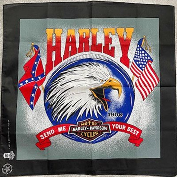 ���ѥ������󥰥����å� SPICE THINGS UP STUP-1 SUMMER SHORTS 90'S HARLEY-DAVIDSON �ϡ��졼���ӥåɥ��� ������ơ����Х���� �Х���ʥ��硼�� ��� ���硼�ȥѥ�� ���硼�� �ϡ��եѥ�� ���硼�ĥѥ�� û�ѥ� Ⱦ���ܥ� ���ᥫ��