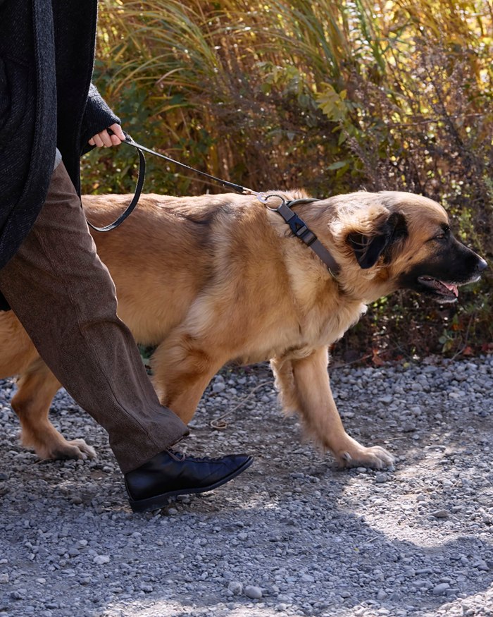 BROTHER BRIDGE HENRY �֥饶���֥�å� �إ�꡼ BBB-S009 VINTAGE TEACORE/CALF ������ơ����ƥ������������� �饤��ޥ�֡��� ��� �ܳ� ��� ��󥭡��֡��� ����֡��� �����ȥɥ� �졼�����åץ֡��� ��󥺥֡��� ������