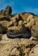 ������ �ԥ�ˡ��� KEEN PYRENEES MOUNTAIN RESEARCH �ޥ���ƥ�ꥵ���� �ޥ���ƥ�֡��� ��� �֡��� ������ �����ȥɥ����塼�� �����������ץ롼�� �ȥ�å��󥰥��塼�� �ɿ� �����ȥɥ� �� ������